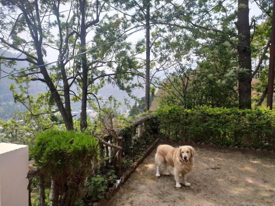 Whistling Thrush Cottage, Bhimtal Nainital Eksteriør bilde