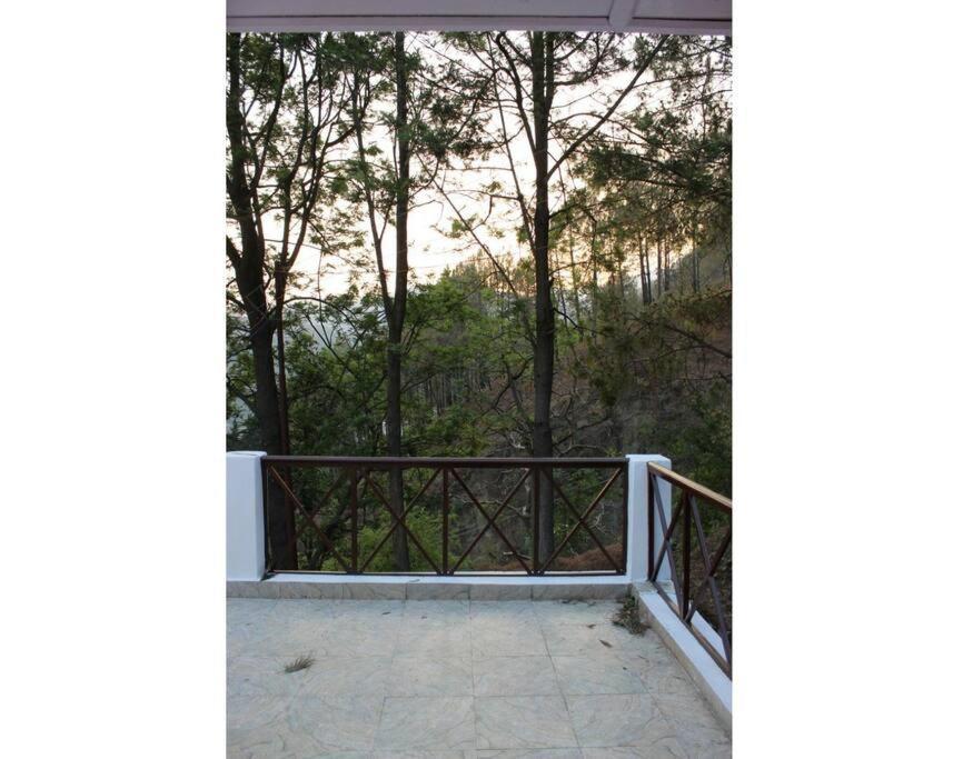 Whistling Thrush Cottage, Bhimtal Nainital Eksteriør bilde